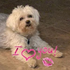 Meet your Posher, Miriam